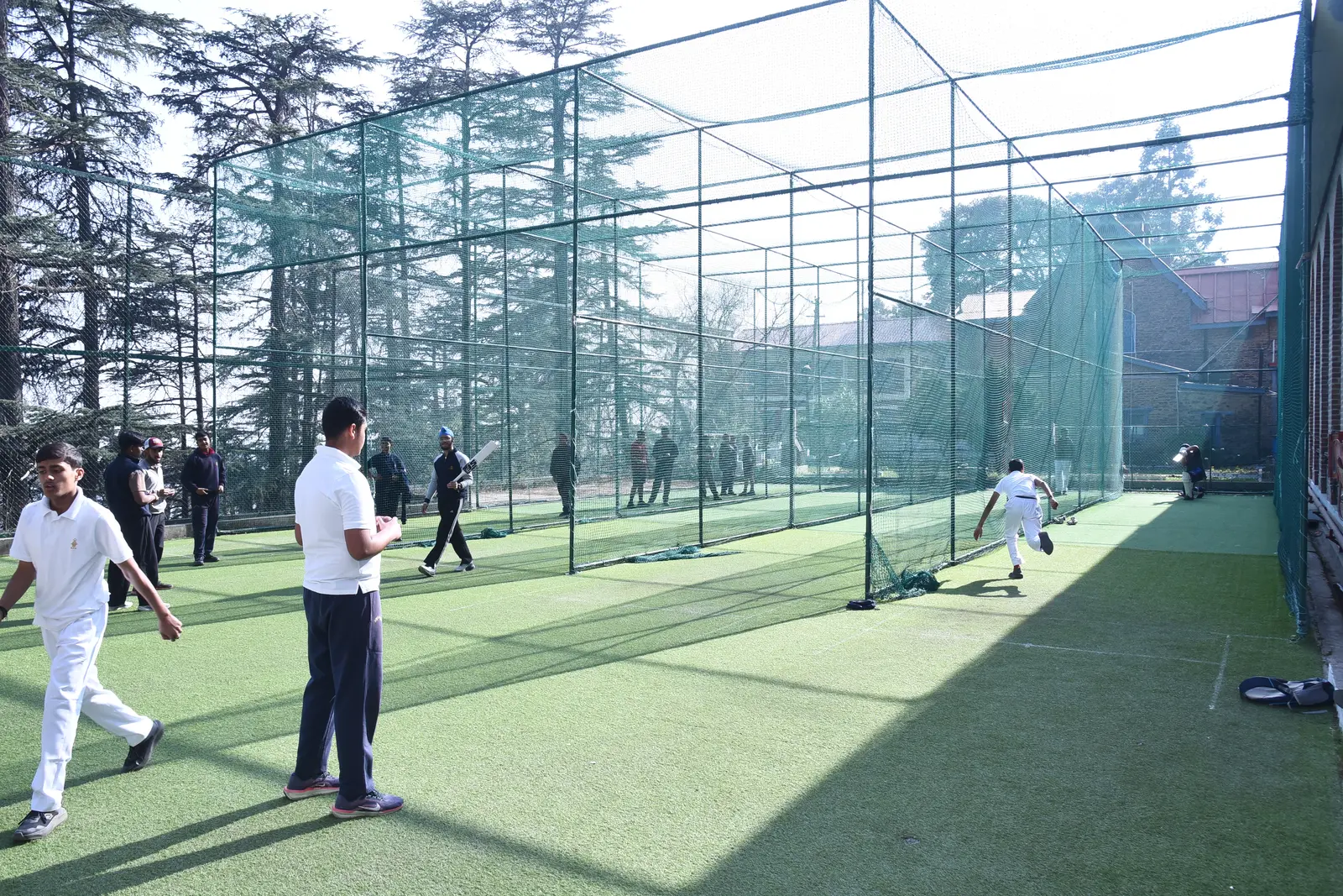 Cricket
